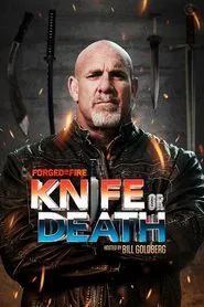 Forged in Fire: Knife or Death tv show poster