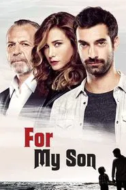 Poyraz Karayel tv show poster
