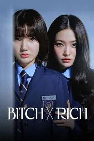 Bitch and Rich tv show poster