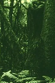 The Eyes in the Woods and the Taste in the Water movie poster