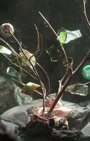 In a Dumpster movie poster