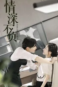 情深不负 tv show poster