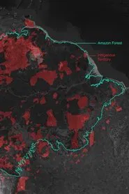 Poster do filme Gold Mining and Violence in the Amazon Rainforest