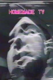 Homemade TV: Vasulkas II movie poster