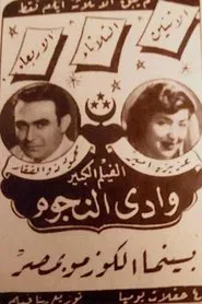 Valley of stars movie poster