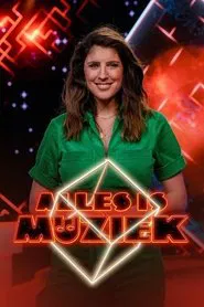 Alles is Muziek tv show poster