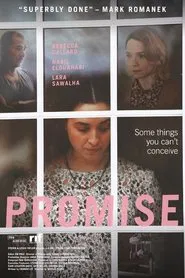 Promise movie poster