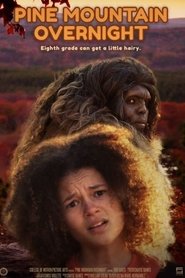 Pine Mountain Overnight movie poster