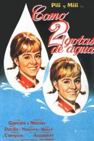 Poster do filme Como dos gotas de agua