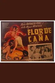 Poster do filme Flor de caña