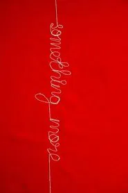 Poster do filme Something more