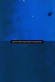 Sound of a Million Insects, Light of a Thousand Stars movie poster