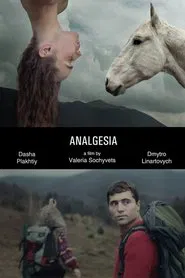 Analgesia movie poster