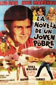 The novel of a poor young man movie poster
