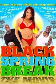 Black Spring Break: The Movie movie poster