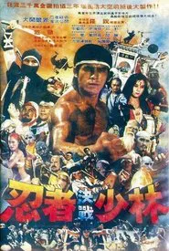 Poster da série 忍者决战少林
