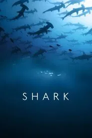 Poster da série Shark