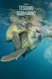Poster do filme Tesouro Submarino