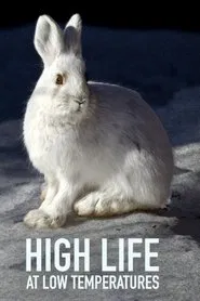 High Life at Low Temperatures movie poster