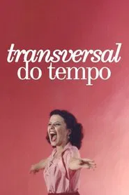Poster do filme Transversal do Tempo
