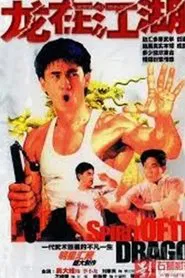 李小龙传 tv show poster