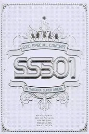 SS501 - 2010 SPECIAL CONCERT movie poster