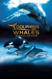 IMAX Dolphins and Whales: Tribes of the Ocean movie poster