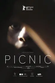 Poster do filme Picnic