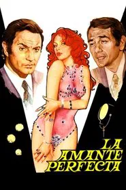 The Perfect Lover movie poster