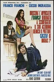 Riuscirà l'avvocato Franco Benenato a sconfiggere il suo acerrimo nemico il pretore Ciccio De Ingras? movie poster