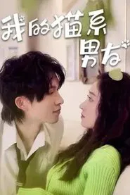我的猫系男友 tv show poster