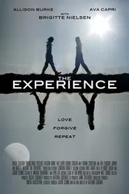 Poster do filme The Experience