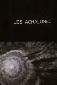 The Achalunés movie poster