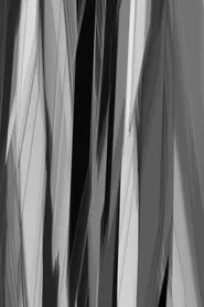 ALTERATION 109 movie poster