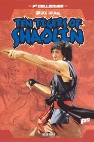 Ten Tigers of Shaolin movie poster
