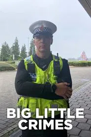 Big Little Crimes tv show poster