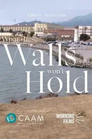 What These Walls Won't Hold movie poster