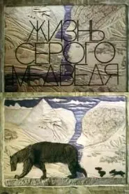 The Life Of A Grey Bear movie poster