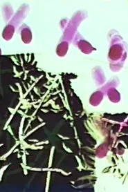 Frottage/Dommage/Fromage 2 Vous movie poster