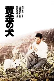 Dog of Fortune movie poster