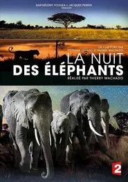 La Nuit des éléphants movie poster