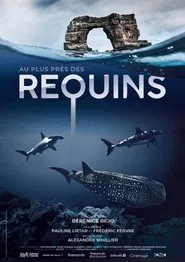 For the Love of Sharks movie poster