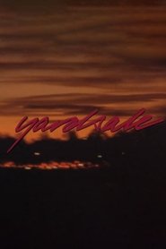 Poster do filme The YS Video