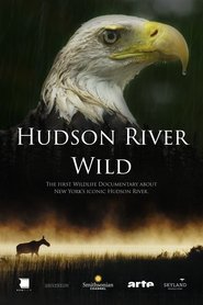 Hudson River Wild movie poster