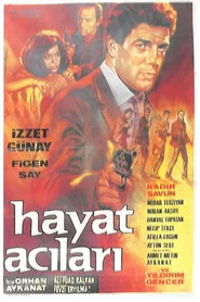 Hayat Acıları movie poster