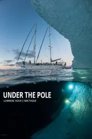 Under The Pole : Lumière Sous l'Arctique movie poster