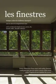 The windows movie poster