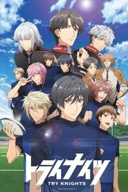 Try Knights tv show poster