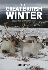 The Great British Winter tv show poster