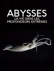 Extreme der Tiefsee - Abysses movie poster
